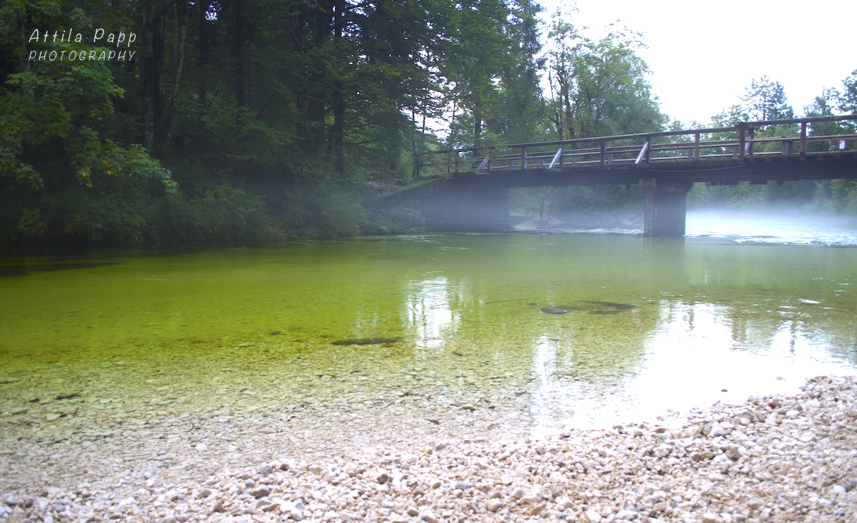 bridge over the river